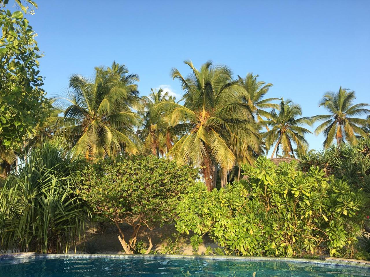 Emayani Beach Lodge Pangani 外观 照片